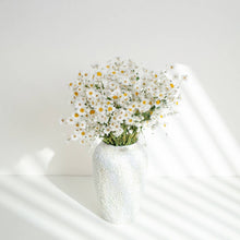 Dried Daisy Flowers Bouquet Dried White Flowers With Stems