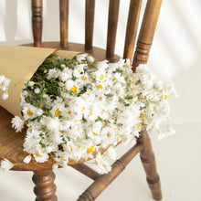 Dried Daisy Flowers Bouquet Dried White Flowers With Stems