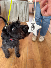 Hand-painted Star Decoration featuring your pet