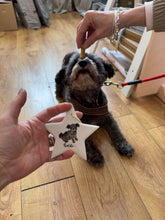 Hand-painted Star Decoration featuring your pet