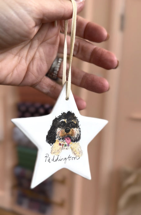 Hand-painted Star Decoration featuring your pet