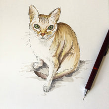 Hand Painted Pet Portrait